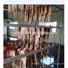 Frozen seafood chinese supplier offer dried squid